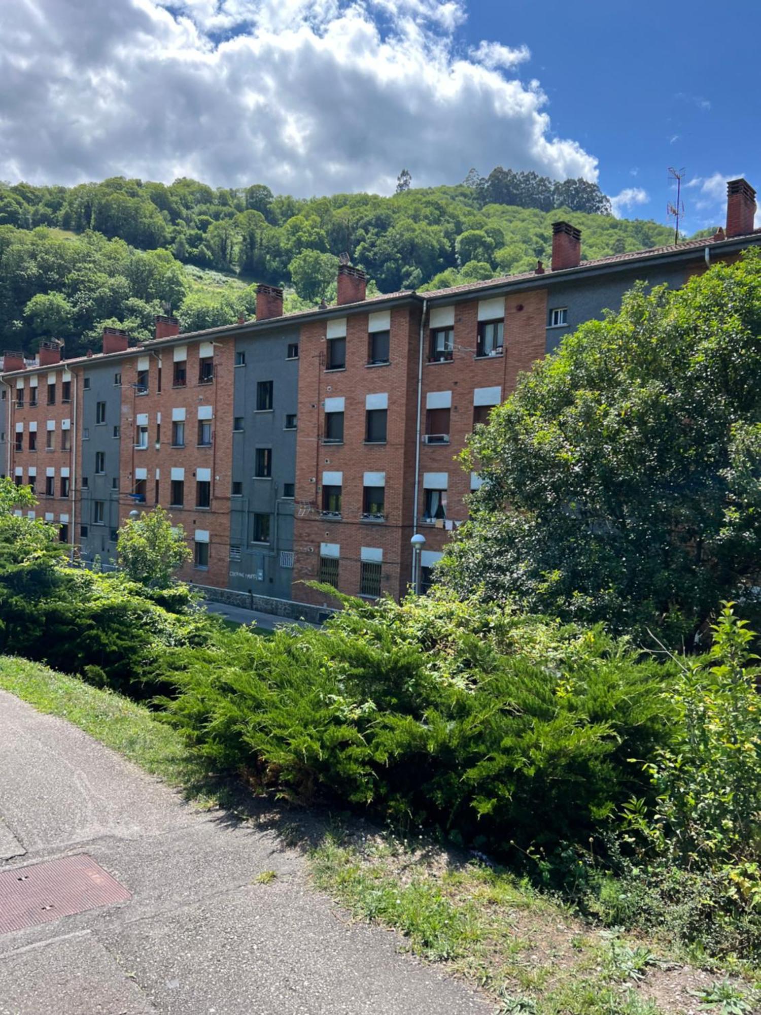 Mountain View Apartment Mieres  Extérieur photo